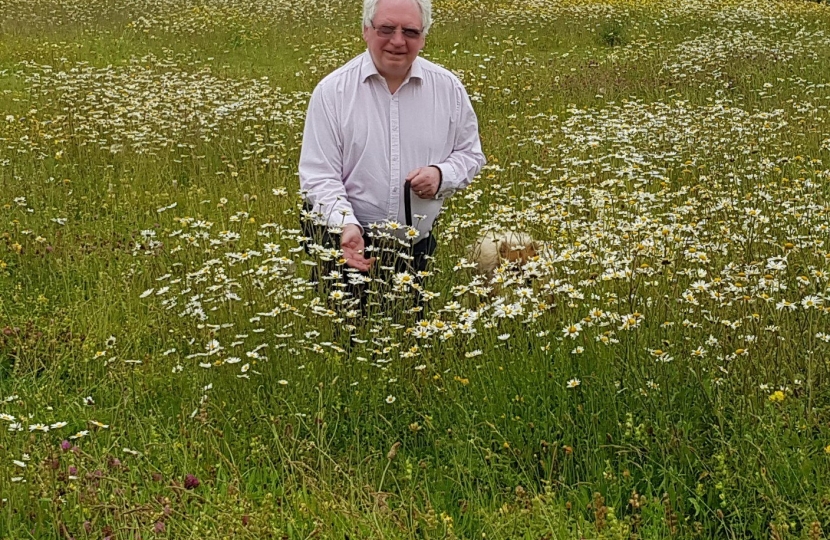 St Mark's meadow, Hatch Warren